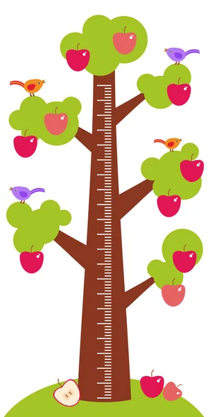 Big tree with green leaves birds and red apples on white background Children height meter wall sticker, kids measure. Vector — Stockový vektor