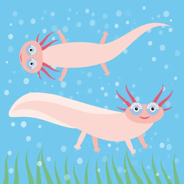 Lindo personaje de dibujos animados Axolotl rosa sobre fondo azul en el acuario (salamandra mexicana, Ambystoma mexicanum) animal albino acuario. Vector — Vector de stock
