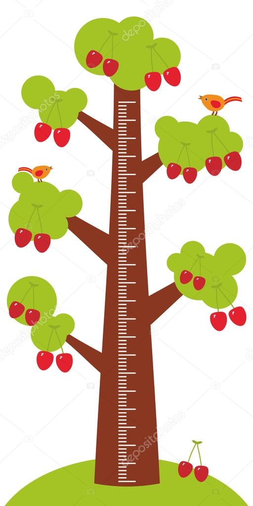 Big tree with green leaves and ripe red cherry on white background Children height meter wall sticker, kids measure. Vector