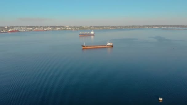 Două nave de marfă stau pe şosea şi aşteaptă descărcarea în portul internaţional — Videoclip de stoc