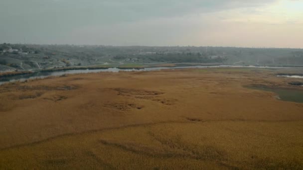 Vista aérea do rio de outono com juncos amarelos secos e aldeia na encosta no humor de sono sombrio — Vídeo de Stock