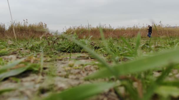 Člověk hledá kvadrokoptéru, která spadla do trávy. Záběry po skutečné havárii letadla — Stock video
