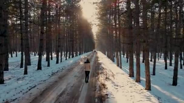 Giovane donna sola che cammina lungo la strada di campagna invernale tra alberi nella foresta con neve — Video Stock