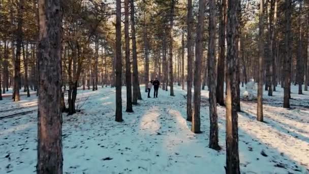 Feliz jovem casal de homem e mulher de pé juntos entre árvores na floresta com neve — Vídeo de Stock