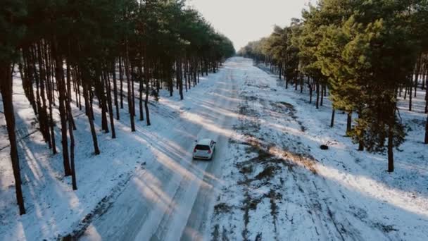 Белый автомобиль едет по дороге, пересекая обширный лес в зимний день — стоковое видео