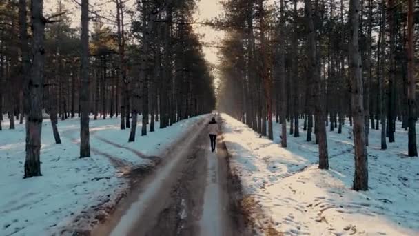 Кинематографический снимок одинокой молодой женщины, идущей по зимней сельской дороге между деревьями в лесу со снегом — стоковое видео
