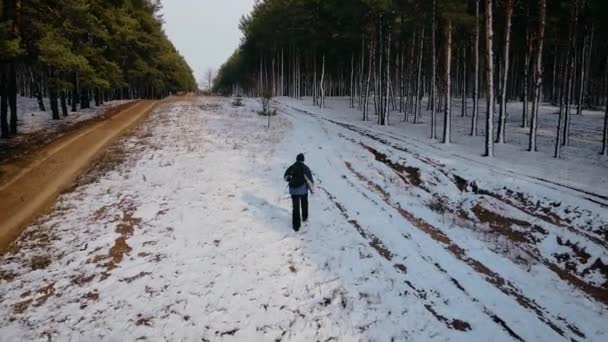 Вид ззаду людини, що ходить з рюкзаком через густий сосновий ліс снігом взимку — стокове відео