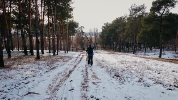 Wędrowiec z plecakiem spacerujący zimą po śniegu przed pięknymi drzewami w lesie i patrzący na samochód przejeżdżający przez sosny — Wideo stockowe
