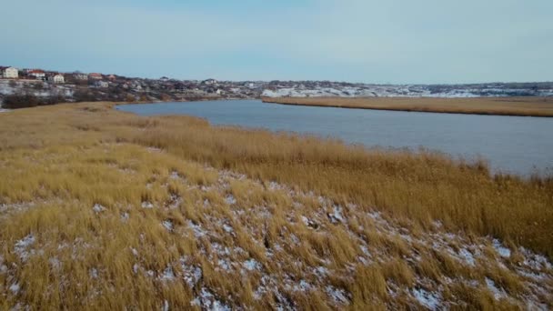 雪に覆われた葦と丘の上の村の家の近くの小さな波と青の冷たい冬の川の美しい風景 — ストック動画