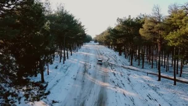 Вид с высоты птичьего полета на белую машину, едущую по сельской местности по бездорожью на зимние каникулы — стоковое видео