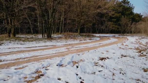 Osobista perspektywa chodzenia po ścieżce w białym zaśnieżonym lesie, strzał z kamery drona. POV turysty poruszającego się po lesie sosnowym — Wideo stockowe