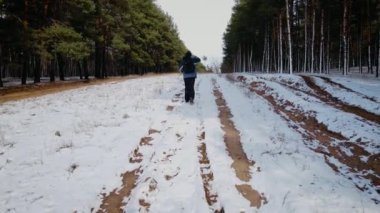 Sırt çantalı bir erkek dağda yürüyor güneşli çam ağacından arka planda karla