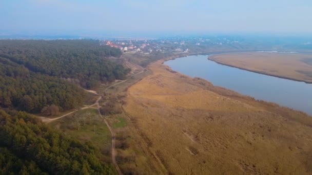 Veduta aerea del fiume e pineta in autunno giornata grigia nuvolosa — Video Stock