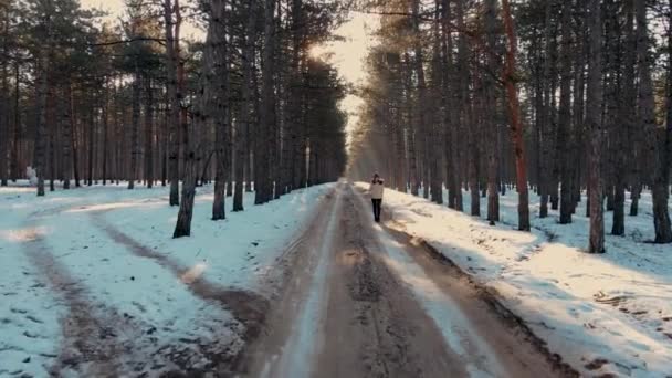 Cinematic împușcat pașnic de femeie turistică fără griji explorarea pădurii în timpul iernii înzăpezite cu raze de soare din copaci — Videoclip de stoc