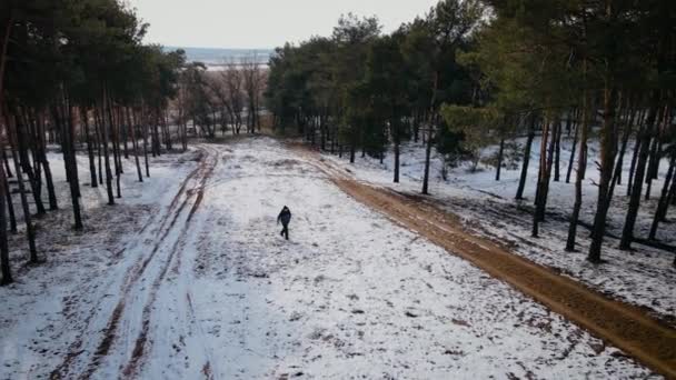 Junger Mann wandert im Winter mit Rucksack im Wald und predigt Biotourismus — Stockvideo