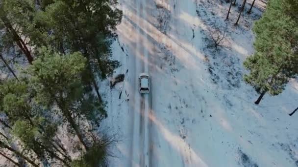 Fotografía cinematográfica de paseos en coche blanco a lo largo de la carretera de invierno entre árboles en el bosque con nieve — Vídeo de stock