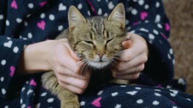 Yakın plan kadın kızıl kedisiyle oynuyor.