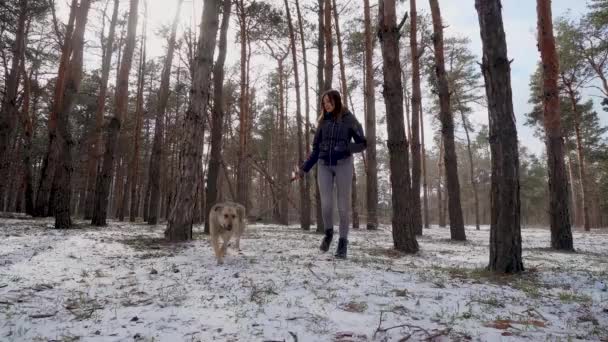Улыбающаяся женщина гуляет на улице со счастливой собакой на поводке в снежном сосновом лесу зимой — стоковое видео