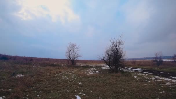 Nuvole blu pesanti si muovono rapidamente attraverso il cielo invernale su terreno vuoto con erba secca e due arbusti senza foglie — Video Stock