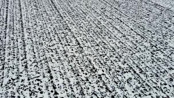 Зимний пейзаж с очень плоскими снежными полями после осеннего вспахивания. Может использоваться в качестве текстурного фона — стоковое видео
