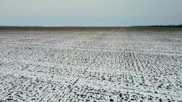 Champ labouré d'hiver partiellement couvert de neige fondante prêt pour la nouvelle saison et attendant le printemps par temps nuageux — Video