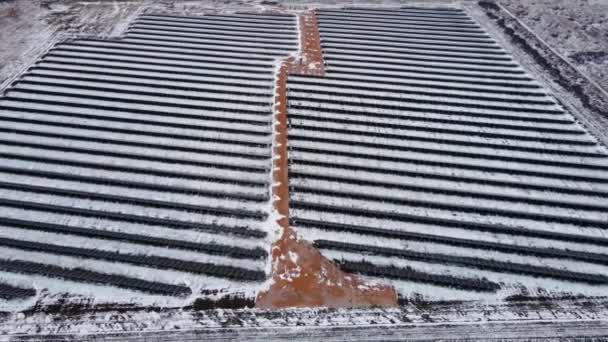 Erstaunliche Luftaufnahme von Sonnenkollektoren stehen in Reihen in schneebedeckten Feldern für die Produktion grüner Energie in der Winterlandschaft — Stockvideo