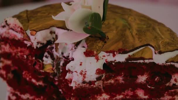 Sliced piece of chocolate birthday sponge cake with with cream flower decoration on table at youth night party in rays of light music — Stock Video