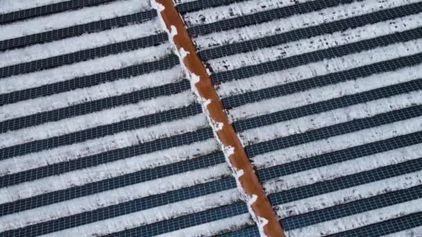 Zdjęcia lotnicze setki modułów lub paneli słonecznych w rzędach wzdłuż śnieżnych terenów zimą — Wideo stockowe