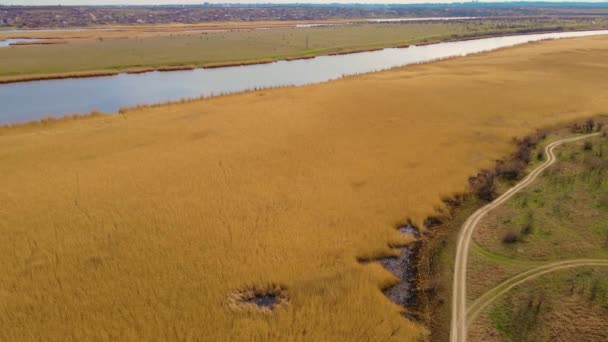 Кінематографічний безпілотник знімок красивого пейзажу маленької річки з чистою блакитною водою і сухим жовтим очеретом — стокове відео