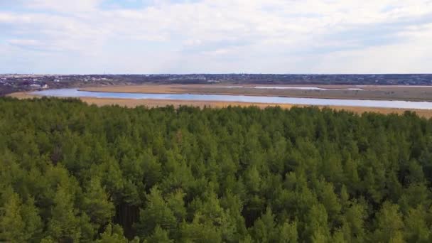 Prachtige plek met dennenbos, rivier perfect voor vissen en glades voor recreatie in hout — Stockvideo