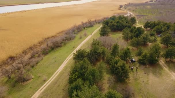 Самотній чоловік, що йде по сільській піщаній дорозі далеко від міста і декількох автомобілів між високими соснами в лісі під час карантину коронавірусу і відпочинку людей — стокове відео