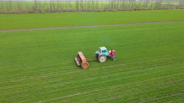 Oude vintage trekker past vaste meststoffen toe op gerst en tarwegewassen om de opbrengst te verhogen — Stockvideo