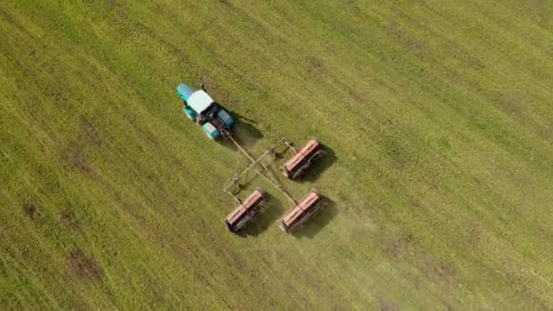 Moderne krachtige trekker verspreiden van kunstmest in het veld met groeiende tarwegewassen — Stockvideo