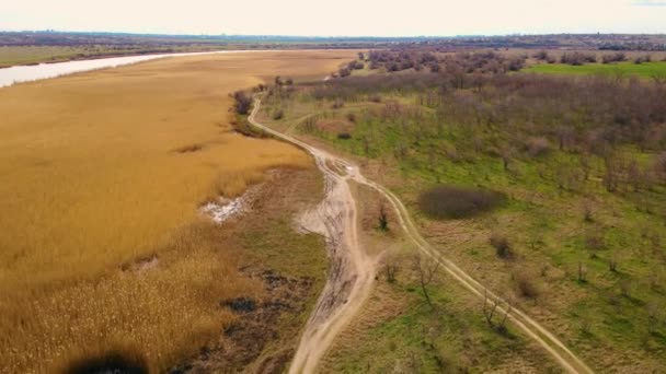 Кінематографічний безпілотник знімок красивого пейзажу з заміською піщаною дорогою біля жовтого сухого очерету і болота з річки, яка переповнена навесні — стокове відео