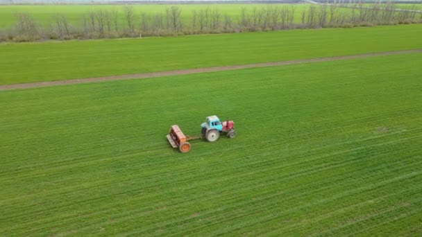 Agronomie trekker met meststof insecticide op groen veld met graangewassen van gerst in natuurlijke seizoensgebonden voorjaar activiteit — Stockvideo