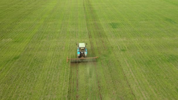 Mezőgazdasági traktor vetésforgós borona szántással a jobb búza- vagy árpa-termesztés érdekében — Stock videók