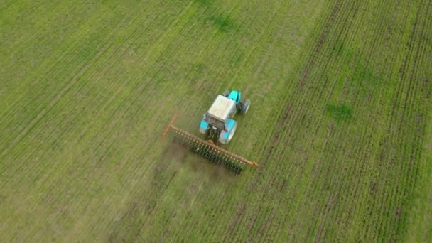 Luchtfoto van de drone van het losmaken van de bodem om de luchttoegang tot het wortelstelsel van graangewassen te verbeteren met behulp van trekker met moderne schijveneg — Stockvideo