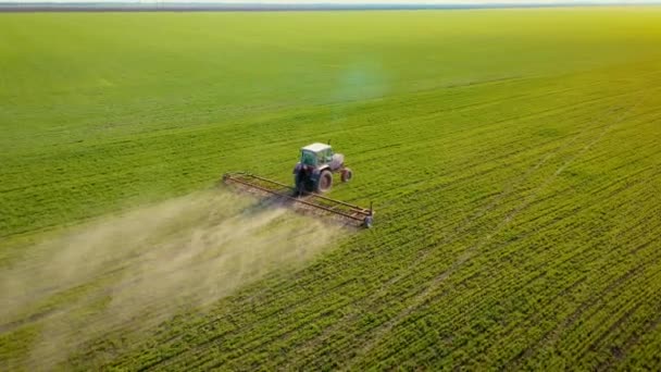 Мощный винтажный энергетический насыщенный трактор с большой силой крюка обрабатывает зерновые культуры для повышения уровня проникновения кислорода в корневую систему пшеницы на закате — стоковое видео