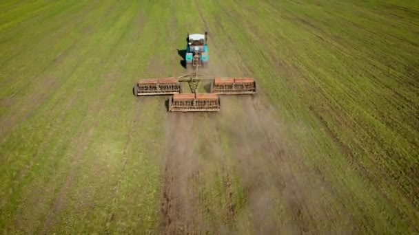 Γεωργός σε ελκυστήρα λίπανση αρόσιμης γης με άζωτο και κάλιο φυτοπροστατευτικά προϊόντα στο πράσινο πεδίο άνοιξη του σίτου — Αρχείο Βίντεο