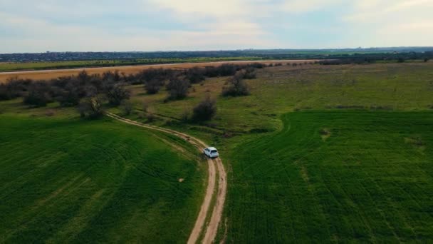 Imagens aéreas de drones de pequenos hatchback da família branca movendo-se através da paisagem pitoresca. Campos verdes suculentos com culturas em ambos os lados da estrada — Vídeo de Stock