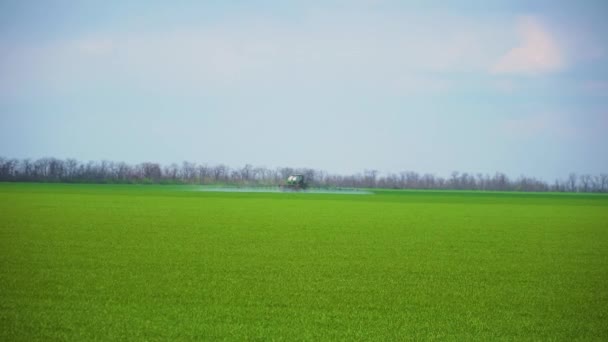 Zemědělský traktor postřikující ječmen postřikovačem, herbicidy a pesticidy. Zemědělské stroje vstřikují insekticid do zeleného pole — Stock video