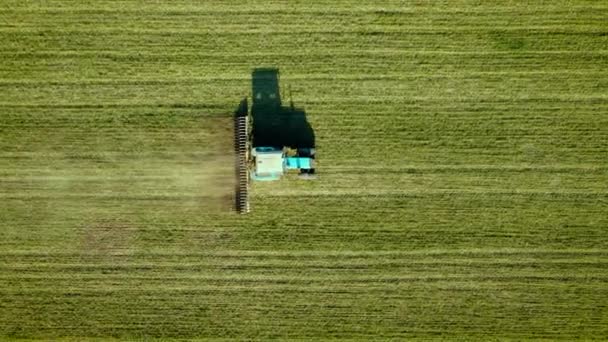 Vista dall'alto verso il basso potente trattore con erpice rotante processi aratro cereali colture per aumentare il livello di penetrazione di ossigeno nel sistema radicale di grano — Video Stock