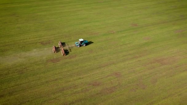 Agronomische krachtige trekker die mest verspreidt op voorjaarsveld met groeiende tarwegewassen vanuit de lucht — Stockvideo