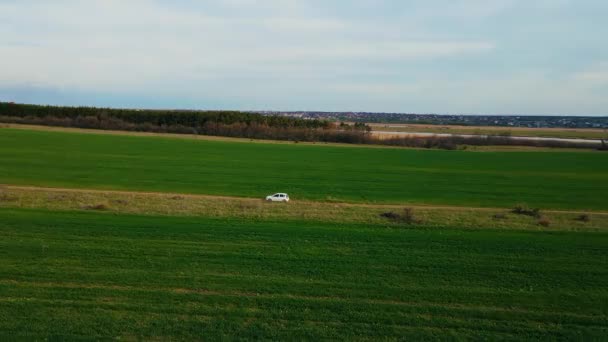 Vista aerea auto elettrica guida sulla strada di campagna. Veicolo moderno guida veloce lungo campi agronomici di colture. Drone cinematografico girato alla sera — Video Stock