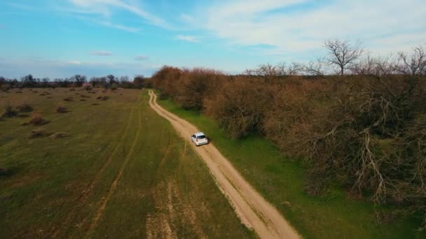 Повітряний постріл білого мінівенського автомобіля, що їде порожньою сільською дорогою між зеленими полями з врожаєм. Політ над автомобілем водіння по сільській дорозі в літній вечір — стокове відео