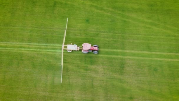 Vista aérea de perto no trator está pulverizando pesticidas e herbicidas no campo de grãos com culturas crescentes de trigo — Vídeo de Stock