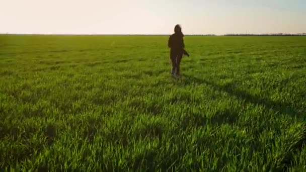 Jong meisje loopt vrolijk in slow motion door het veld met groene gewassen. Prachtige zorgeloze vrouw genieten van de natuur en het zonlicht in tarwe bij ongelooflijke kleurrijke zonsondergang — Stockvideo