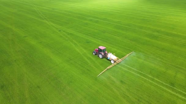 Aerial view of spraying pesticide on wheat field. Drone shot flying over agricultural wheat field tractor and crop sprayer, protection plants in order to increase yield — Stock Video