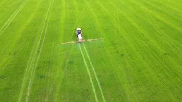 Gün batımında kimyasal gübre kullanarak buğday tarlalarını ilaçlayan bir çiftçinin insansız hava aracı görüntüsü. — Stok video