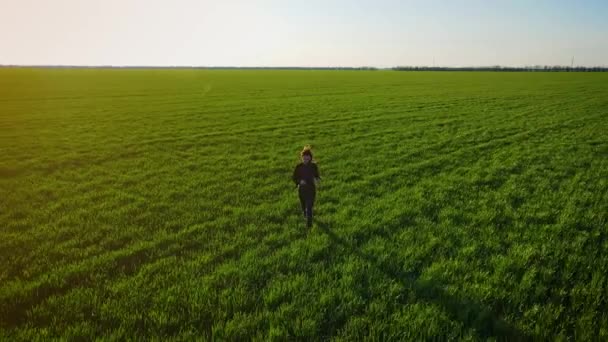 Luchtfoto van romantische en zorgeloze jonge vrouw in slow motion video draait op het veld tarwe genieten van vrijheid en rust op het platteland natuur tijdens vakanties bij zonsondergang — Stockvideo